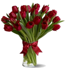 Купить букет цветов - Букет из тюльпанов Страсть Букет Купить цветы в Красноярске. Магазин цветов с доставкой.