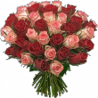 Заказать букет Букет из 51 розы по специальной цене. Доставка цветов Красноярск