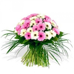 Купить букет цветов - Букет из 35 гербер Букет Купить цветы в Красноярске. Магазин цветов с доставкой.