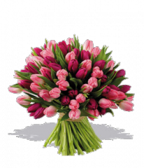 Купить букет цветов - Весенний букет Нежность Букет Купить цветы в Красноярске. Магазин цветов с доставкой.